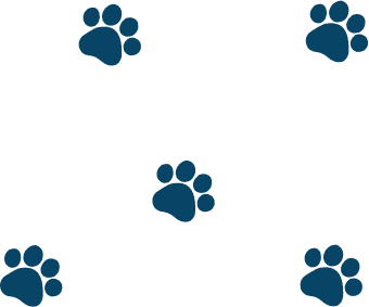 Pet Paw